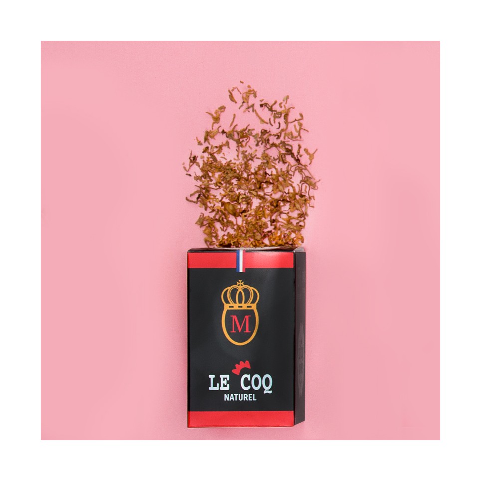 chargement de l'image